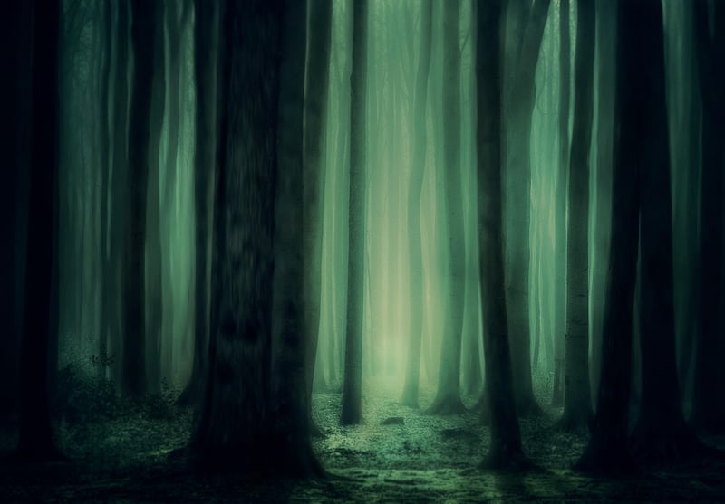 Fantasy Trees